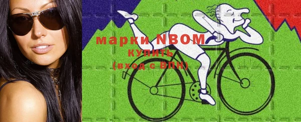 прущие крисы Бородино