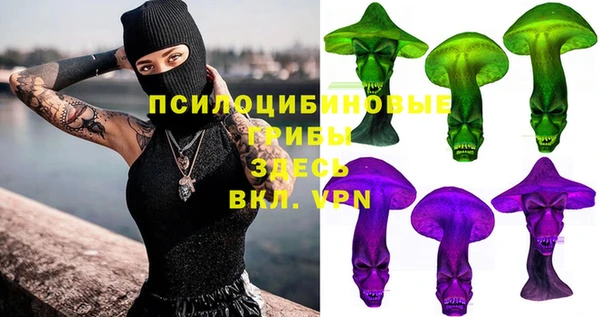 ГАЛЛЮЦИНОГЕННЫЕ ГРИБЫ Богородицк
